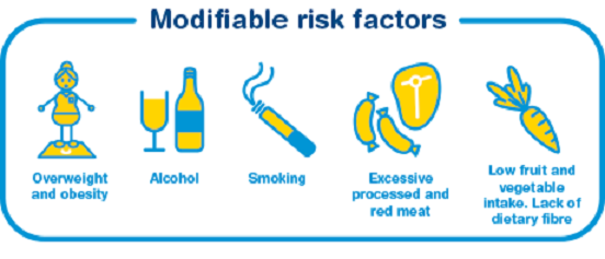 Cancer Of Cases Down To Risk Factors You Can Change Digestive